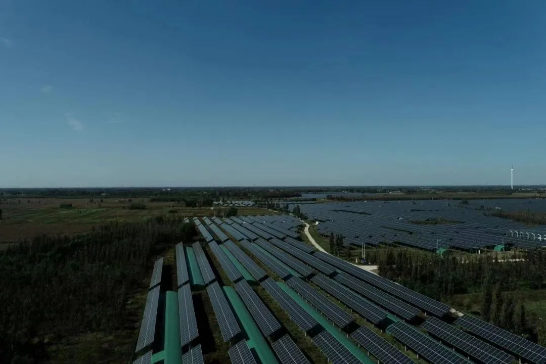 2-20230123223712524 2-20230123223712524