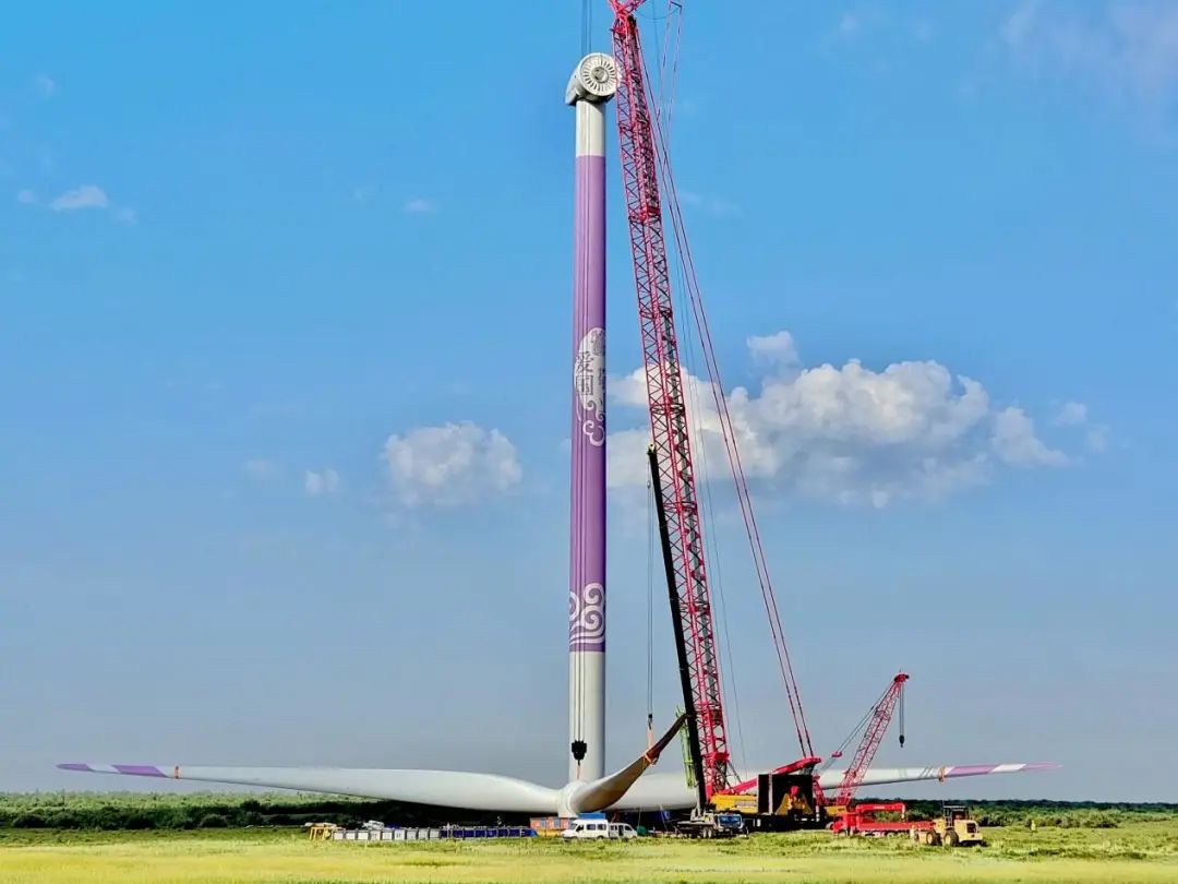3-20230306160017312 3-20230306160017312